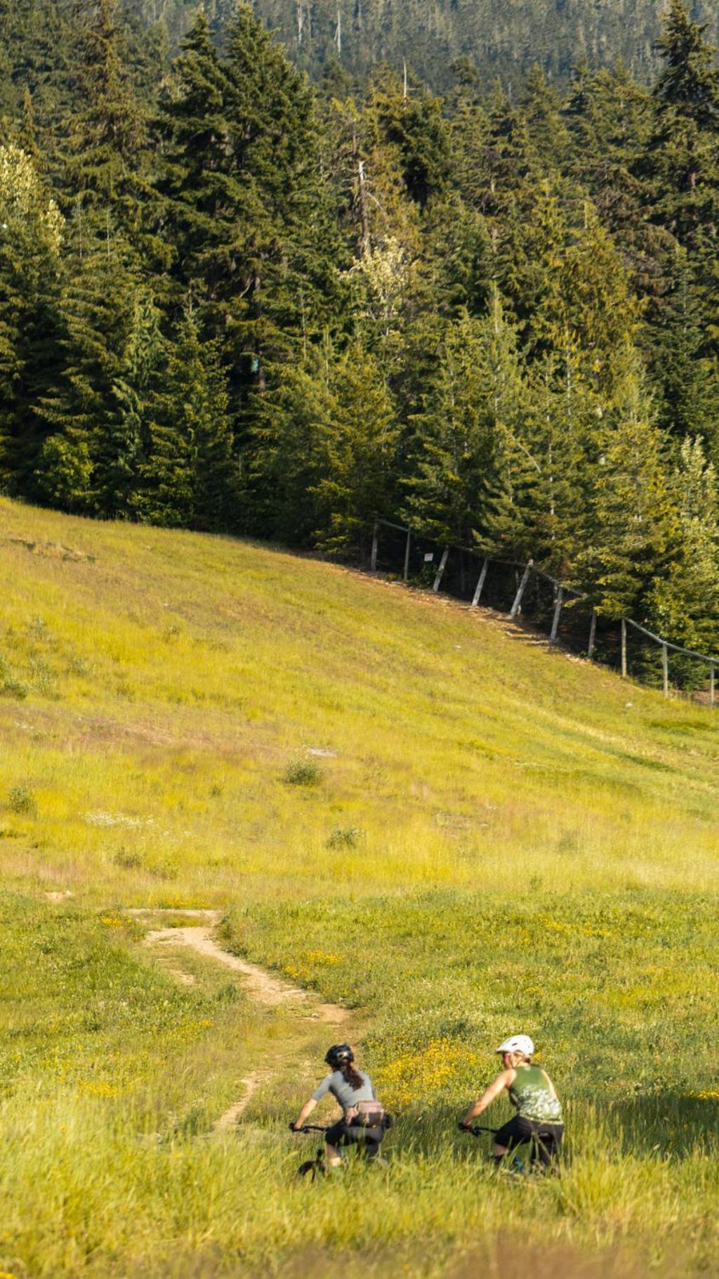 Hotel Blackcomb Springs By Clique 4*