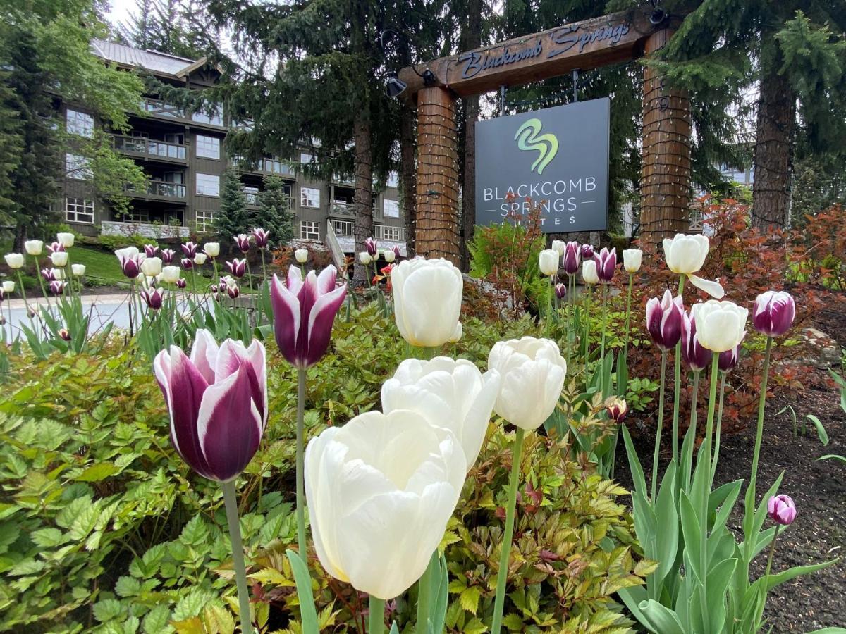 Hotel Blackcomb Springs By Clique 4*