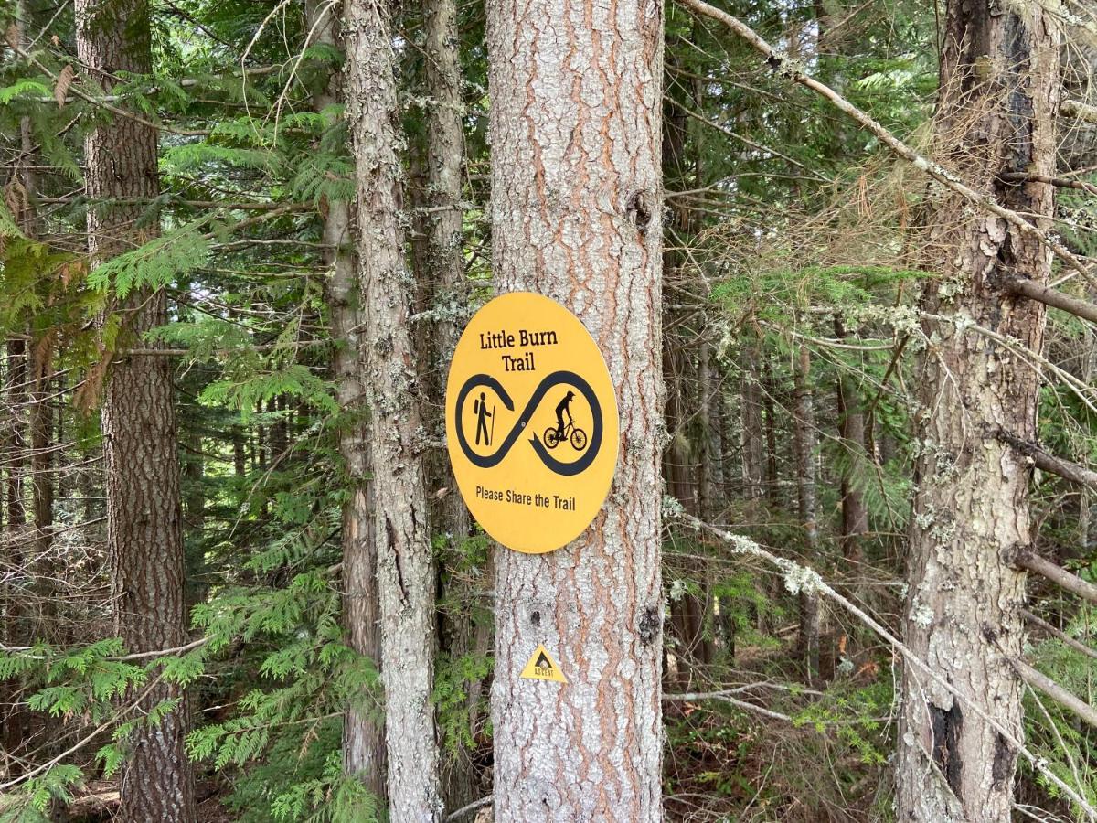 Blackcomb Springs By Clique